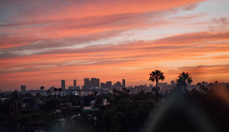 The Los Angeles skyline at sunset with palm trees in silhouette