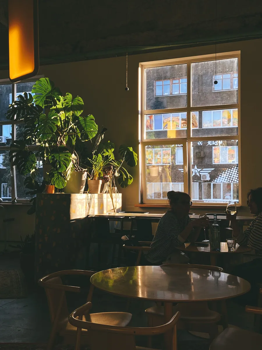 A warm café interior at dusk, plants along the windowsill and a person seated alone at a table by the window